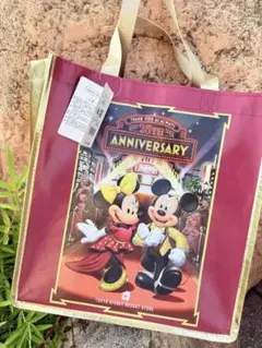 ディズニーリゾート店限定 ミニー セット 東京ディズニーリゾート店25周年記念