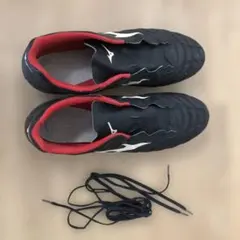 Mizuno モナルシーダネオ スパイク 27.5