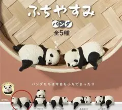 ふちやすみパンダ 4個セット（あくび×1 あおむけ×1 ふりむき×2