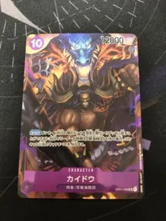 10カイドウ　srパラレル