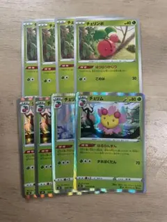 チェリム　チェリンボ