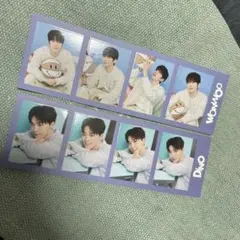 SEVENTEEN ディノ トレカ まとめ売り 160枚 SEVENTEEN セブチ ディノ トレカセット まとめ売り｜Yahoo