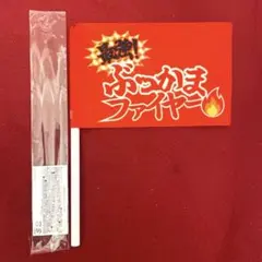 【即購入◎即日発送】EBiDAN運動会 チームフラッグ 赤 ぶっかまファイヤー