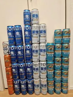 限定特価】ビール54本セット サントリー生ビール 500ml・350ml - メルカリ