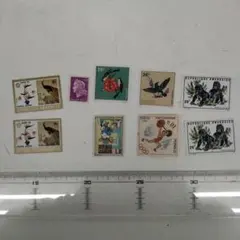 Item thumbnail for item 0518d3af-76d9-443c-bded-c32690444fed