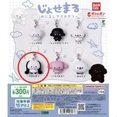 【新品・未開封】じょせまる めじるしアクセサリー　１点