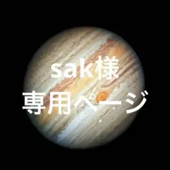 sak様 専用ページ