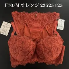 オレンジ　F70/M ナルエー　ブラショーツセット　23525 125のサムネイル