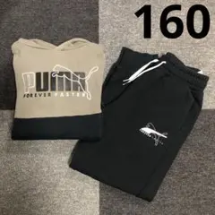 PUMA プーマ　パーカー　パンツ　上下　セットアップ　160 裏起毛
