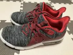 【値下しました】【ナイキ】エア マックス Air Max Sequent 3