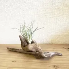 Item thumbnail for item 62dcda17-6666-4517-8e82-0add8c2f4aa8