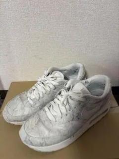 NIKE AIR MAX 1 アートプリント