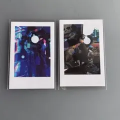 いれいす If 実写チェキ2024