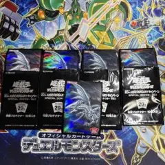 遊戯王　20th ANNIVERSARY キャンペーン　スペシャルプロテクター1