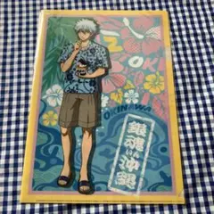 【激レア未使用美品】銀魂 A4クリアファイル 沖縄限定 銀時/土方/沖田