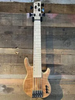 Godin ACS Slim 10th Anniversary 100/100 - メルカリ
