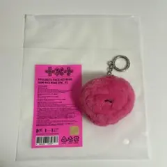 2026年最新】フムニャリン ぬいぐるみの人気アイテム - メルカリ