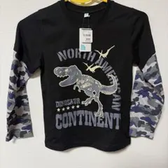 Item thumbnail for item 4c3ecb53-073e-4ab1-aac3-eff81d2083ac