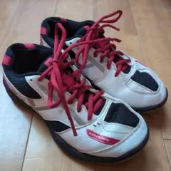 ヨネックス PowerCushion 670 JPN23.0cm