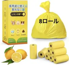 Item thumbnail for item 0acca02e-bc45-4413-a9ac-5f4e95bd0bcd