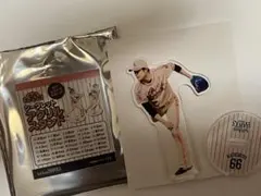ホークスピンクフルデー2026アクスタ　#66松本裕樹