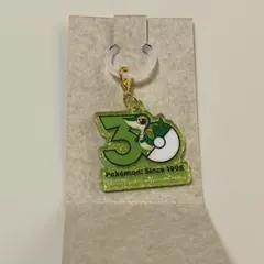ポケモン ポケチャーム30周年ロゴマスコット2 ツタージャ