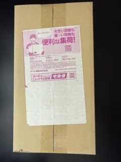 【新品未開封】スペシャルbox フクオカ　ポケモンカード