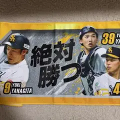 ホークス フェイスタオル