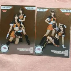 BBM チアリーダー 2026 GIANTS VENUS インサート
