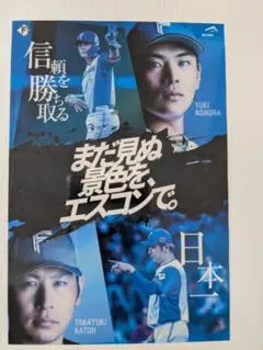 ファイターズ　エスコン　ステッカー　野村佑希　加藤貴之
