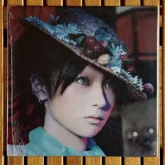 2026年最新】椎名林檎 レコードの人気アイテム - メルカリ
