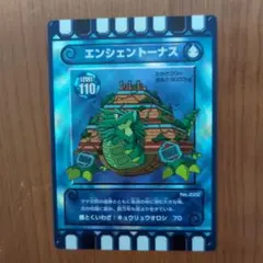 【新品未使用・地域限定】ぐるり森エスパージョイ 地域限定カード | カード迷路 ぐるり森 大冒険