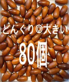 ★どんぐり★大きい80個