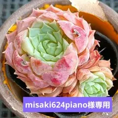 misaki624piano様 リクエスト 2点 まとめ商品