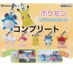 ポケモンめじるしアクセサリー2 コンプ　ポケセン限定