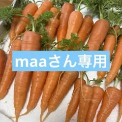 maaさん専用