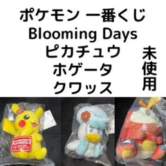 未使用　ポケモン 一番くじ Blooming Days ピカチュウ　ホゲータ