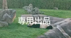 嵐 ARASHI ツアー パンフレット ＆ 5×20 スワロフスキー（シルバー）