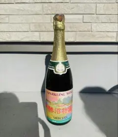 Item thumbnail for item 099d0528-116d-42cb-a36d-ffc744ad06ca