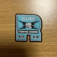 THE RAMPAGE ステッカー