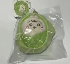 ちいかわ　Chiikawa Baby キャベツに包まれたうさぎマスコット　②