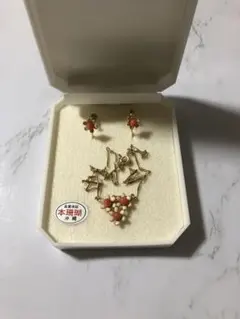 沖縄　本珊瑚　ネックレス&イヤリングセット