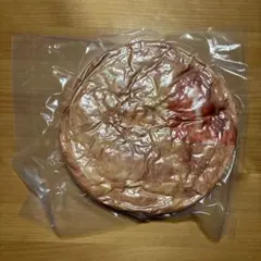 2026 KFCビスケット型お昼寝枕