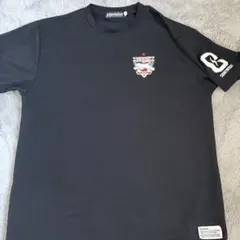 Item thumbnail for item 15c6e36a-2376-4975-b332-abd747270346