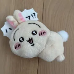 ちいかわ うさぎだらけくじ E賞 ぬいぐるみバッジ ア？！