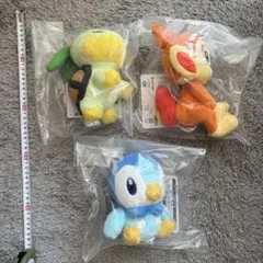 一番くじ ポケモン30th F賞 シンオウ地方 ぬいぐるみ タオル チャーム