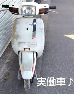 HONDA DIO ZX仕様 ホワイト 2スト 原付50cc エナメルシート新品 - メルカリ