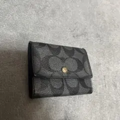 Item thumbnail for item 3a0dc7c3-6bb7-42de-a53e-7f3529845dfe