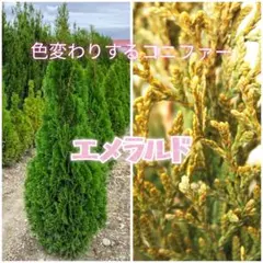 ぅぉぬま様 リクエスト 5点 まとめ商品