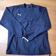 Item thumbnail for item 62c4ed30-b052-4db5-806a-3f9c9be57f0e